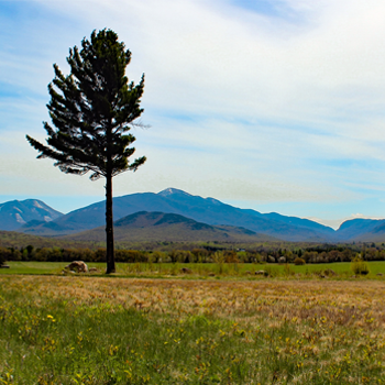 Image of Adirondack Loj Rd, Lake Placid, NY